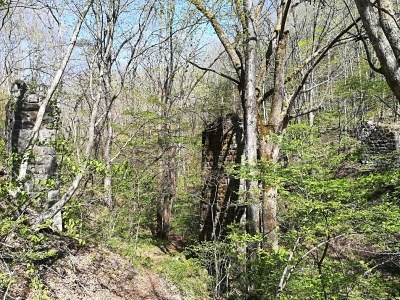 b0126549_10314213.jpg