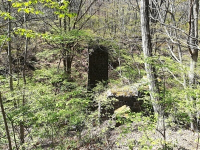 b0126549_10355527.jpg