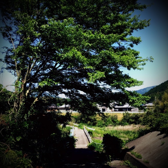 c0312349_07422745.jpeg