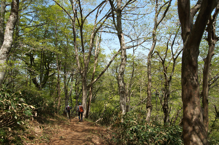 f0214649_15543162.jpg