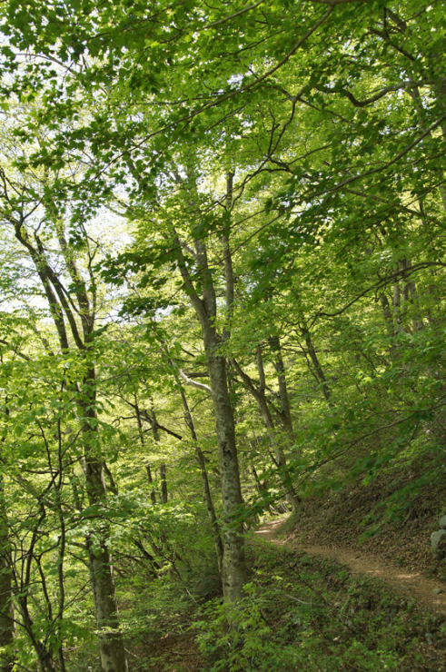 f0214649_16033208.jpg