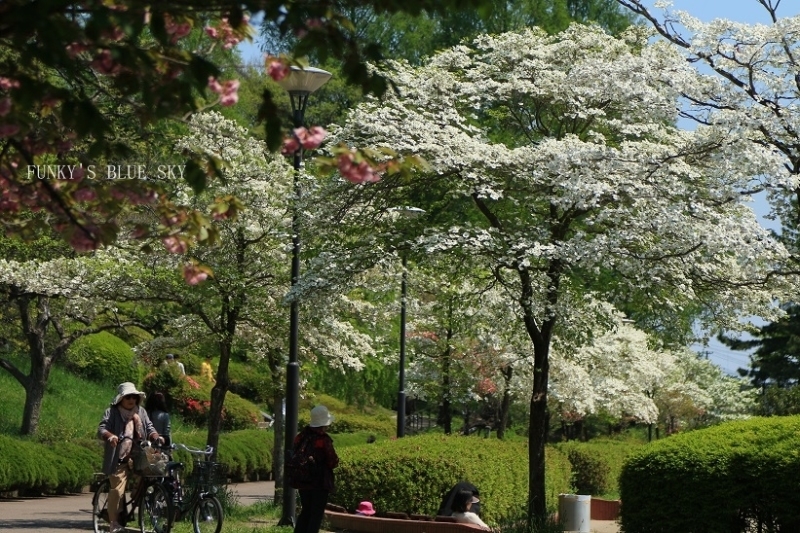 c0145250_14473265.jpg