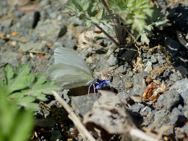 c0045352_19165561.jpg