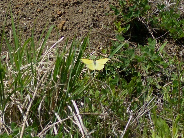 c0045352_19165566.jpg