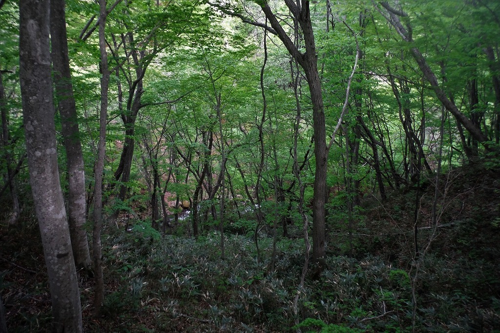 c0294658_21270274.jpg