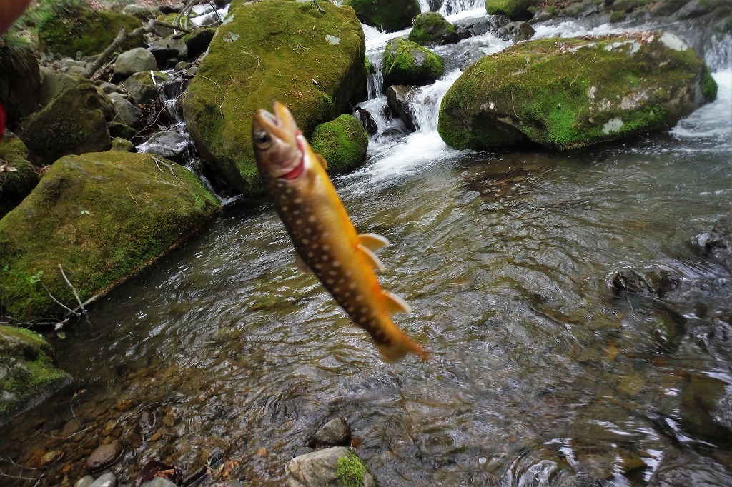 c0294658_21462573.jpg