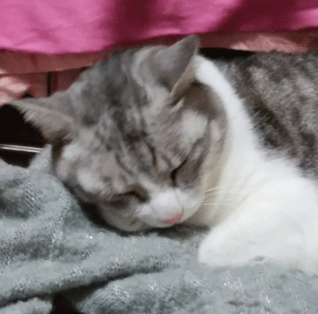 e0001558_18380584.gif