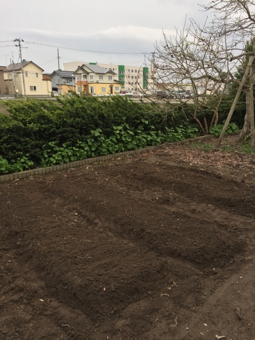 b0093660_22484325.jpeg