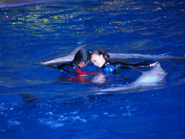 c0186760_14445546.jpg