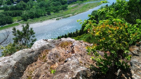 c0190960_2173785.jpg
