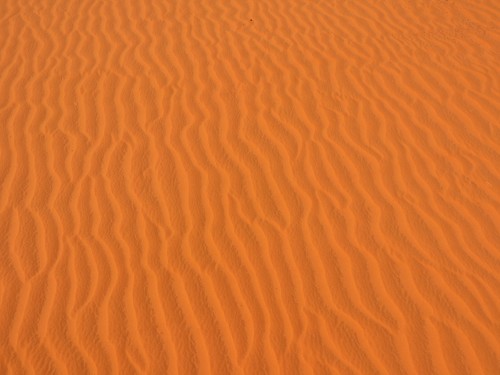 c0351060_00450070.jpg