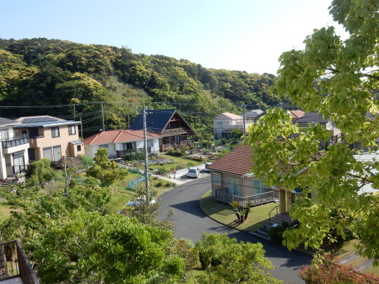 ’18,5,6(日)ずいぶん良くなってきました!_f0060461_09231342.jpg
