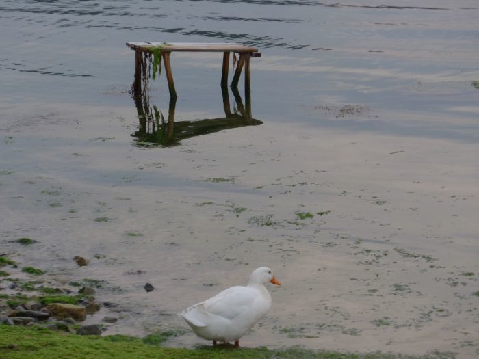 春と夏の間の海_d0159062_17173098.jpg