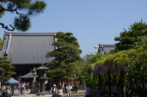 d0247262_21295.jpg