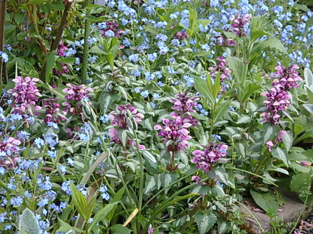 e0017562_01564371.jpg