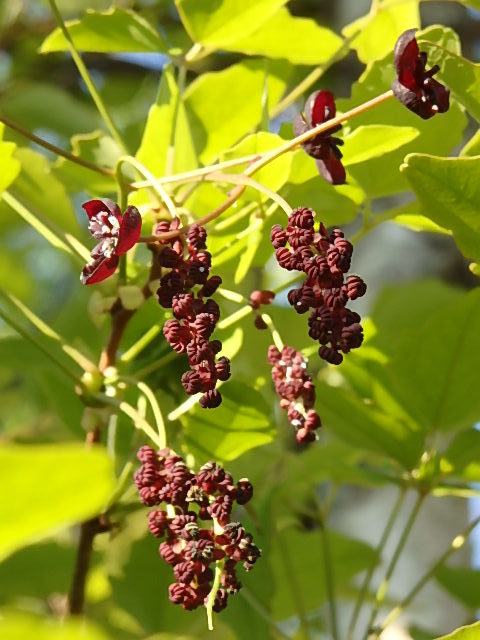 e0017562_03005256.jpg
