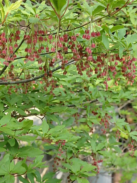 e0017562_03133998.jpg