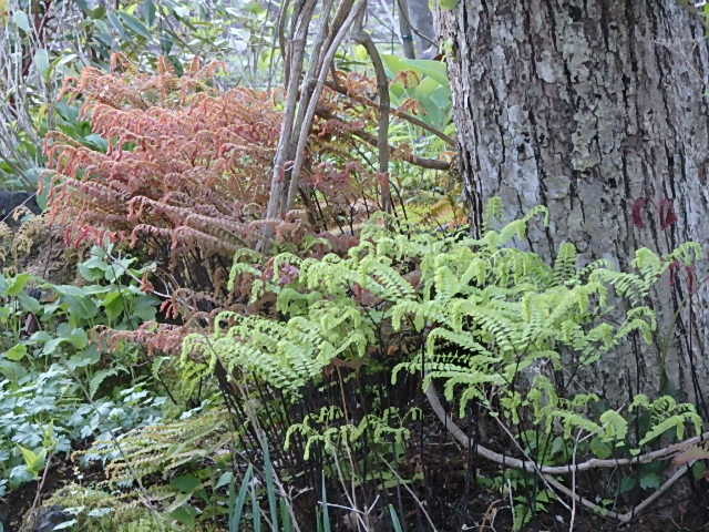 e0017562_04012931.jpg