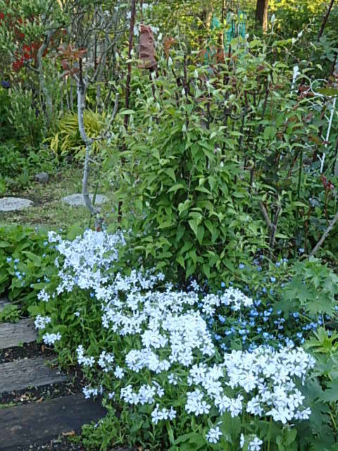 e0017562_04280465.jpg