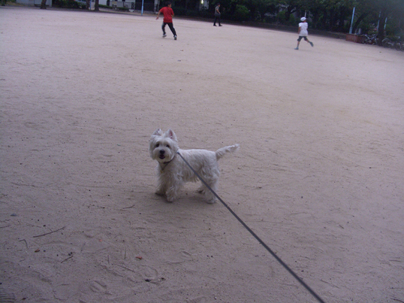 元気?_b0107163_19545764.jpg