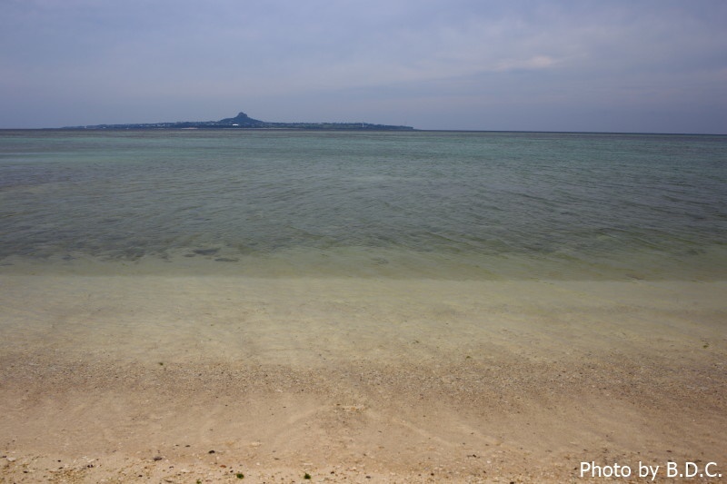 沖縄　国際通り・牧志公設市場・美ら海水族館・古宇利島・万座毛_e0357265_09591410.jpg