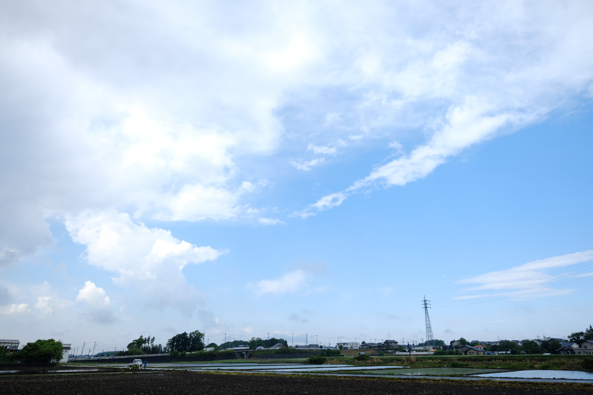c0084666_20544051.jpg