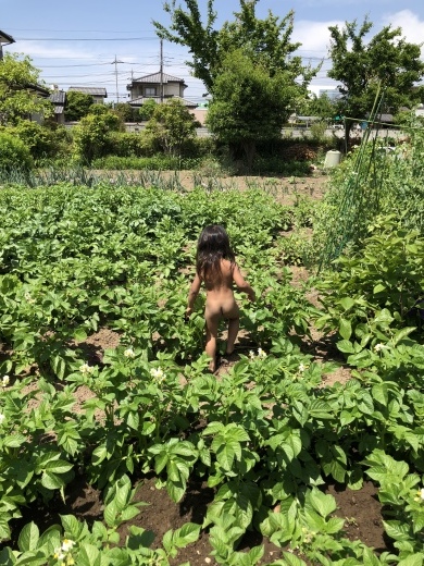 Today\'s Sun ☆_b0247567_15462418.jpeg