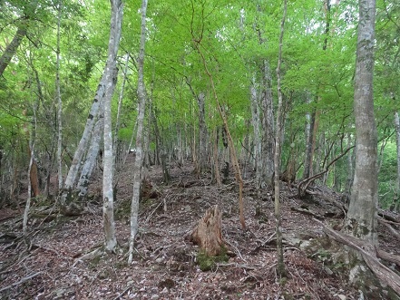 c0303868_04463175.jpg