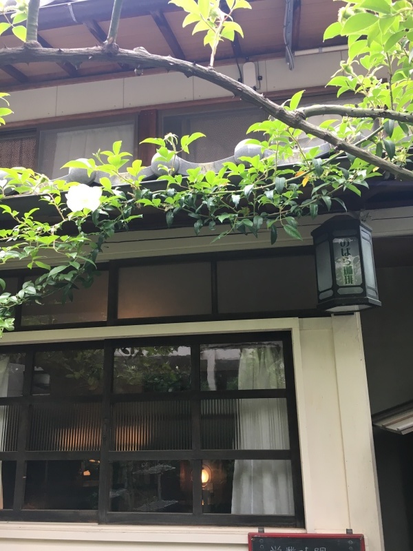 野ばら珈琲 映画会_f0363168_16010397.jpeg