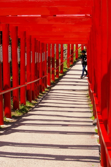 元乃隅稲成神社へ_d0327373_08370556.jpg