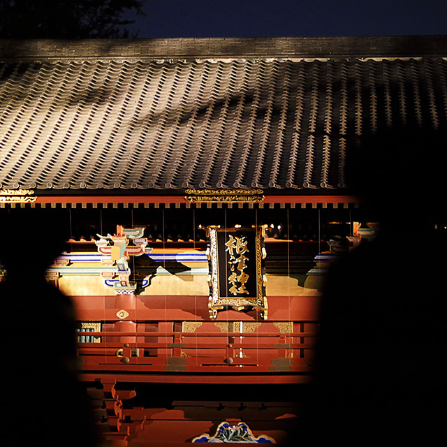 谷中根津撮影会　根津神社　ヨナヨナ夜の部_d0367875_21002238.jpg