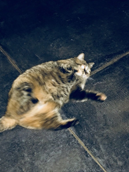 d0125776_07554869.jpeg