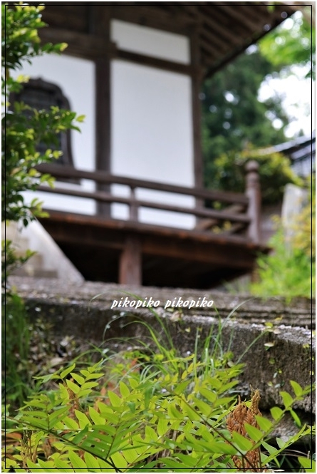 宝蔵寺 1_e0353681_23302931.jpg