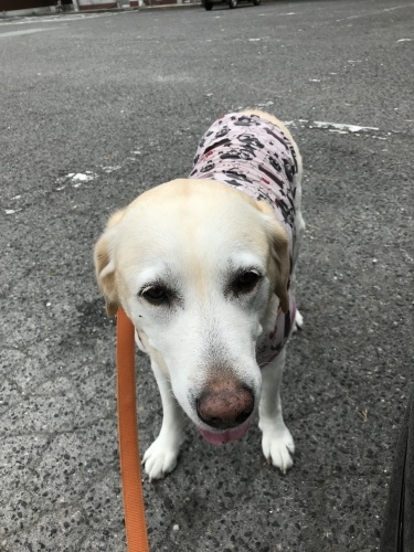 f0315081_10420497.jpeg