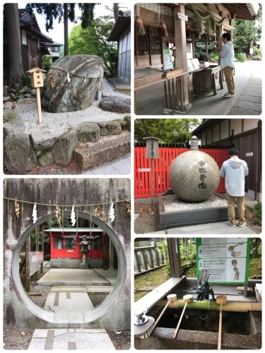 f0315081_10475101.jpeg