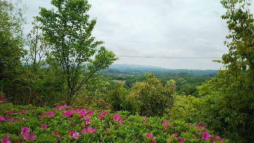 e0020682_197593.jpg