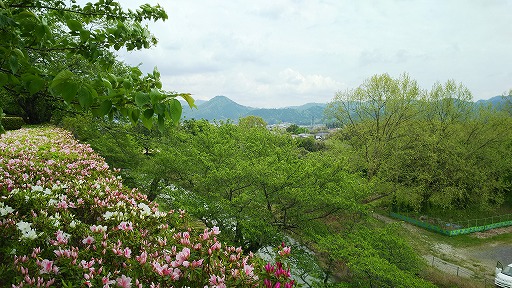 e0020682_21583653.jpg