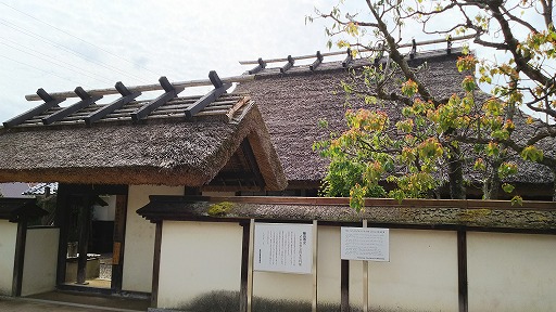e0020682_22112227.jpg