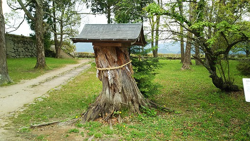 e0020682_2212478.jpg
