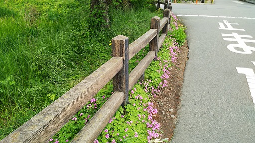e0020682_22194616.jpg