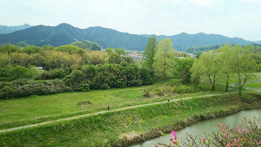 e0020682_22713.jpg