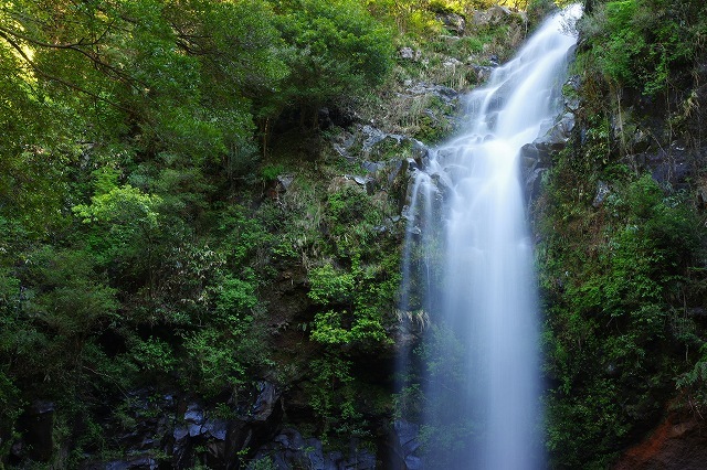 c0324983_10490015.jpg
