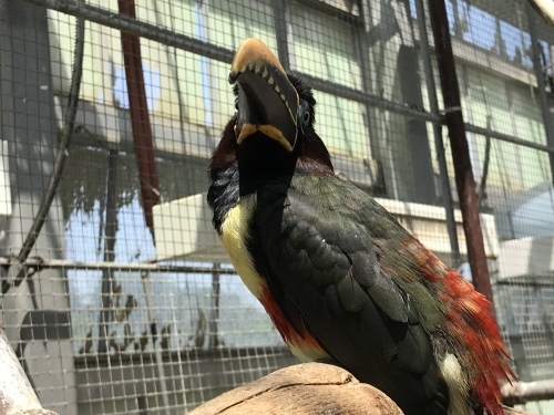 c0340786_13352280.jpeg