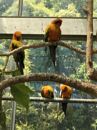 c0340786_13370844.jpeg