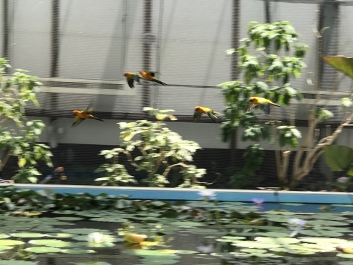 c0340786_13372233.jpeg