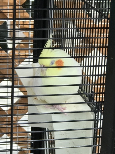 c0340786_13382592.jpeg