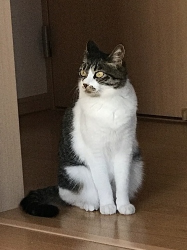 c0340786_13533579.jpeg