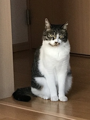 c0340786_13542061.jpeg