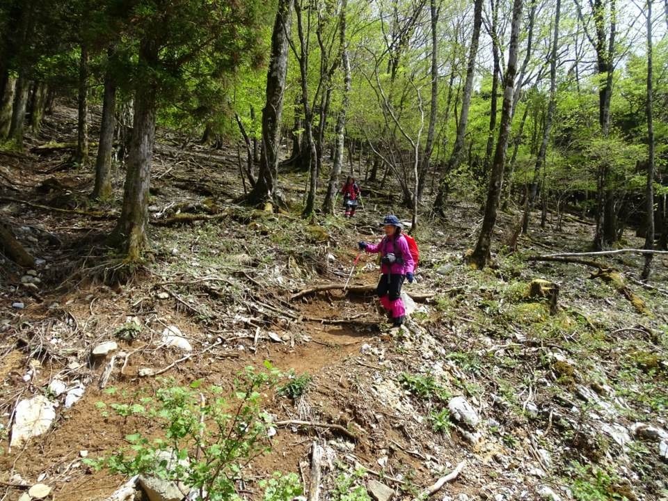 f0357487_20135422.jpeg