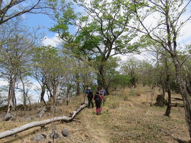 f0357487_21404885.jpg
